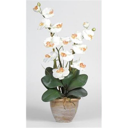 NEARLY NATURAL Double Stem Phalaenopsis Silk Orchid Arrangement 1026-CR